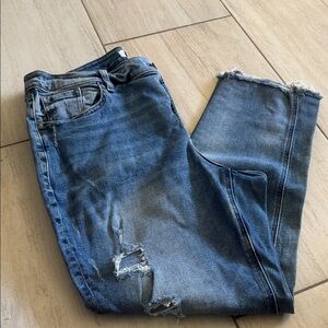 Lane Bryant Ripped Denim Jeans